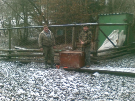 Obnovenie genofondu v oplotku