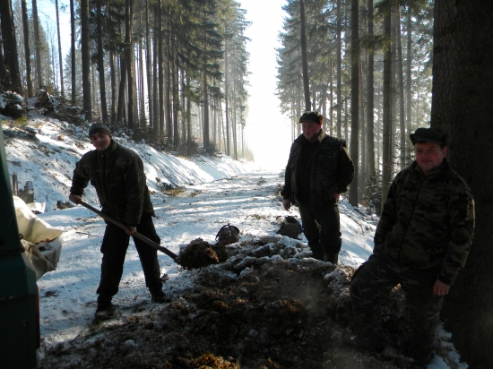 Prikrmovanie silažou