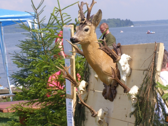 Sv.Hubert-Námestovo