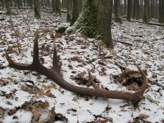 Po roku sa naše cesty opäť stretli ...