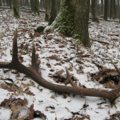 Po roku sa naše cesty opäť stretli ...