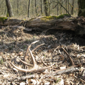 Pekne na hromádke ...