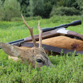 starigáň z viníc ...