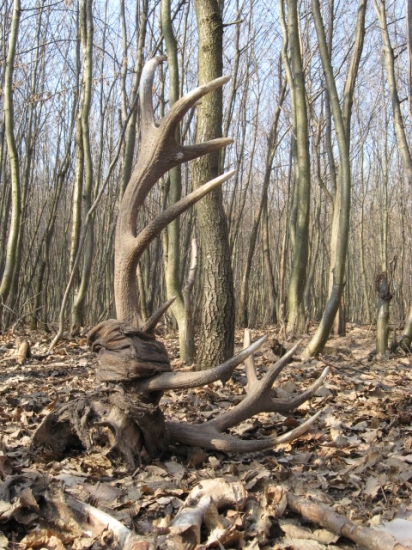 smrť chodí po horách ...