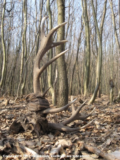 smrť chodí po horách ...