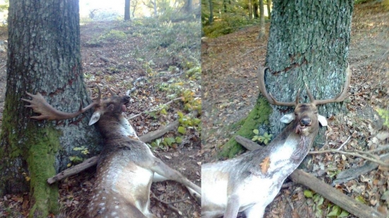 prírodná selekcia ...