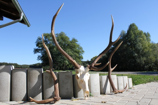 Koniec jedného škodníka ...