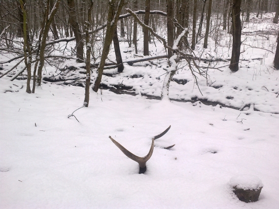 Jedna februárová metrovica ...