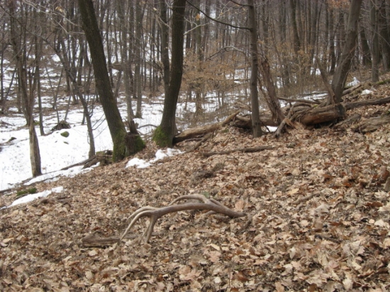 Najkrajšie spomienky ...