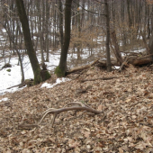 Najkrajšie spomienky ...