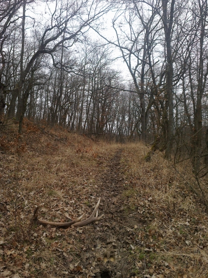 Mojou cestičkou ...