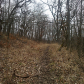 Mojou cestičkou ...