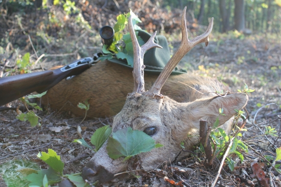 Strážca vinice ...