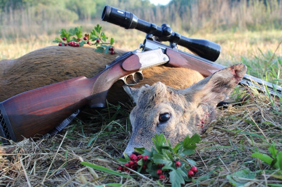 Keď jeleň zatrúbi halali ...