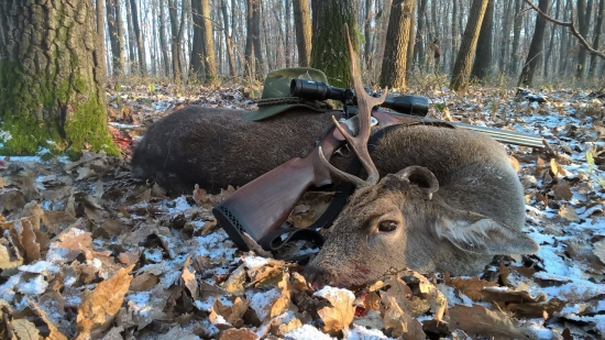 S čerty nejsou žerty ...