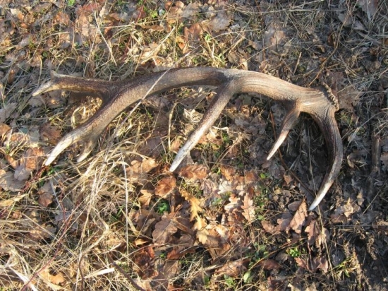 detail k ID 5069; 2,55kg