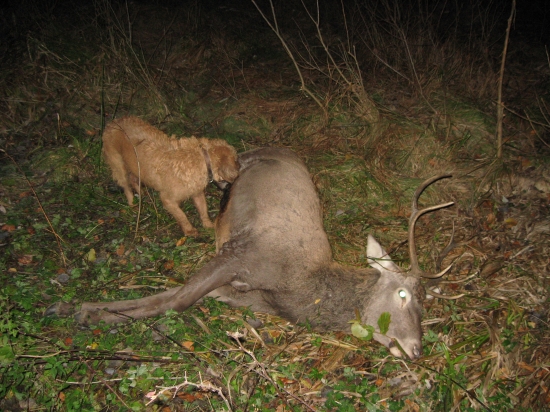 Po dobre odvedenej práci ...