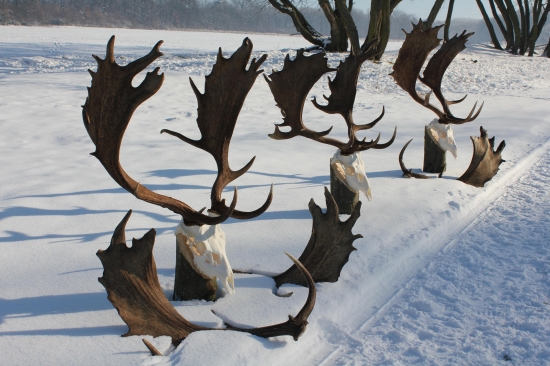 naše dvestobodáše ....