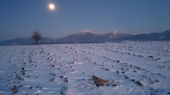 keď mesiac preberá moc nad dňom...