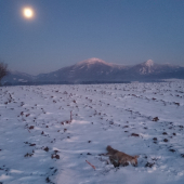 keď mesiac preberá moc nad dňom...