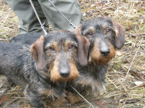 Modeli jak do kalendáře