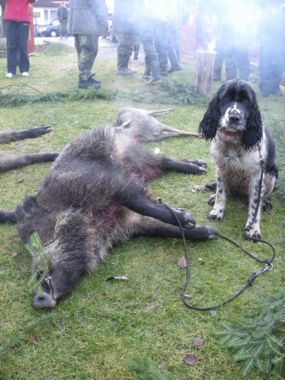 Tohoto  jsem vyhnala jááá!!!