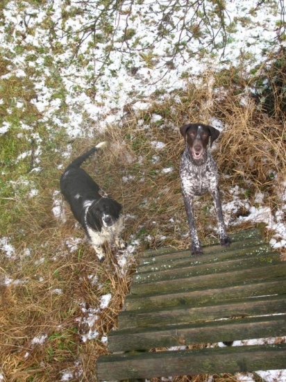 My chcem taky nahoru