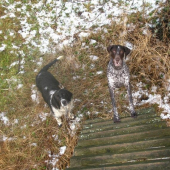 My chcem taky nahoru