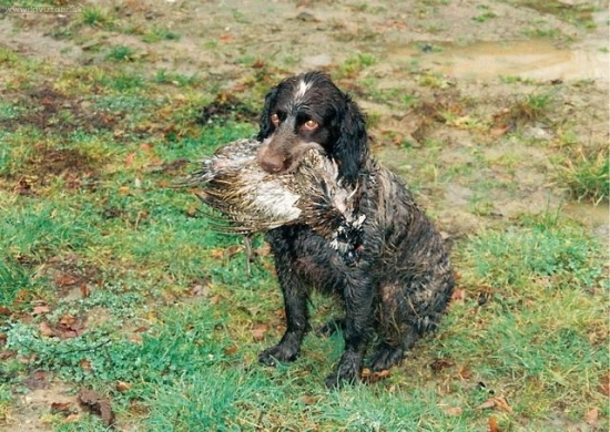 Co bych pro tebe neudělal!!!!
