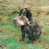 Co bych pro tebe neudělal!!!!