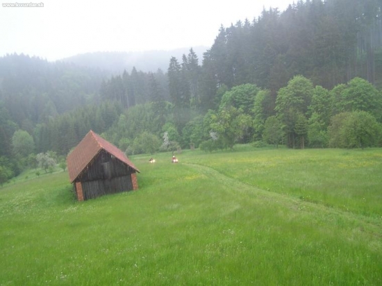 A je po čekané :-( !!!!!!!!!!