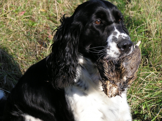 To by bylo aby mně nepochválil ! ! !