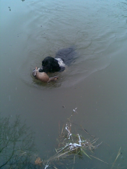 Poslední už bude venku.