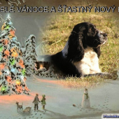 Štasné a veselé
