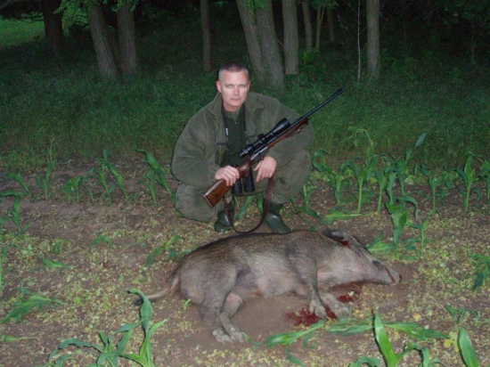 Večer som sa vybral na srnca II. III. a takto to dopadlo .