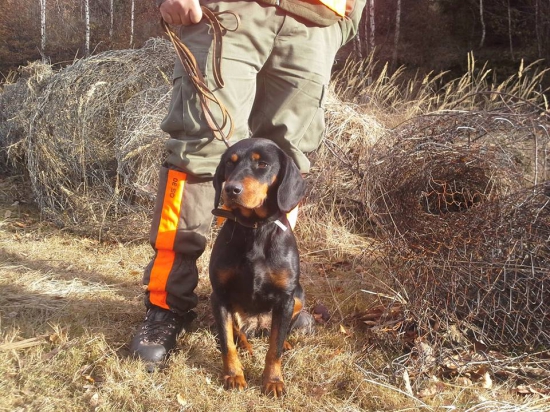 Moja sučka - Gerda široká dolina