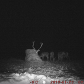 Vzájomne spolužitie