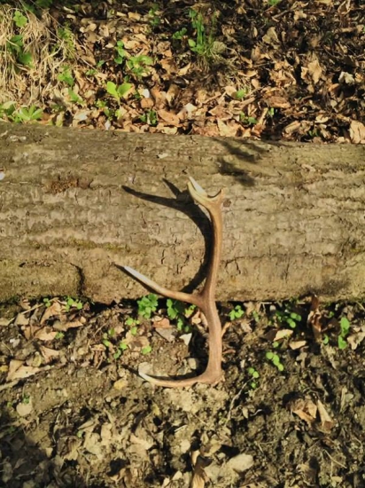 Dneskajší nádejný mladúch