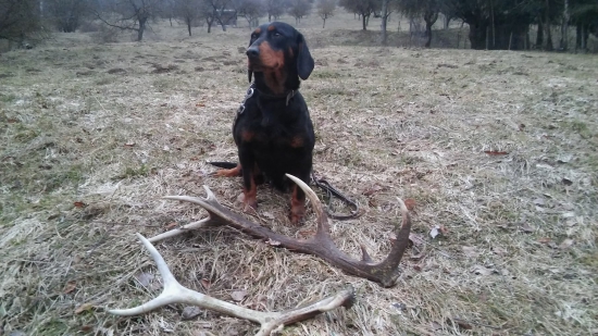 Fany z Veľopolia - Spoločný úspech