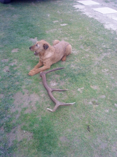 A už som snim doma :)