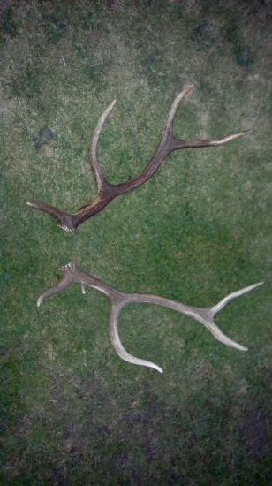 ale je tam troch podoba že ?