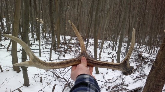 Dnes najdeny  ale minuloročny :))