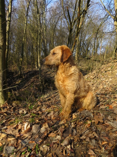 Niko spod Šperhačky