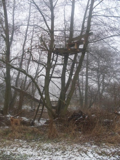 Nic moc ale da sa tam sediet