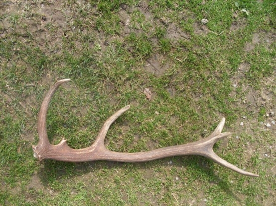 Teraz oco nasiel behom 20 minut