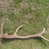 Teraz oco nasiel behom 20 minut