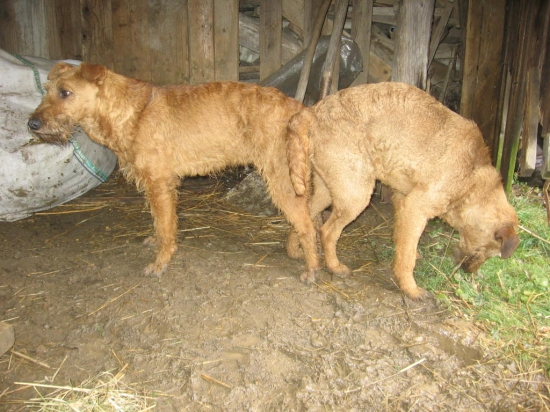 ale dnes im dobre bolo :D