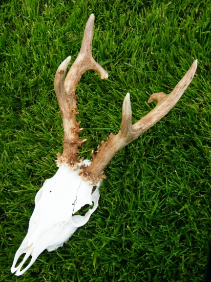 Tak toho je fakt škoda II.