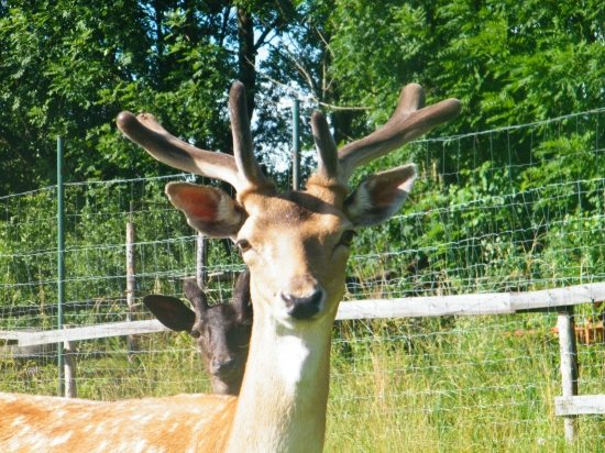 Čím to na nás míříš ?