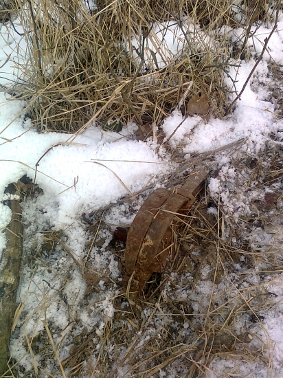 Máme škodnou v revíru